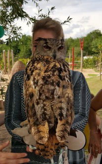 Sommerfestbesucherin mit einem großen Uhu auf dem Arm.